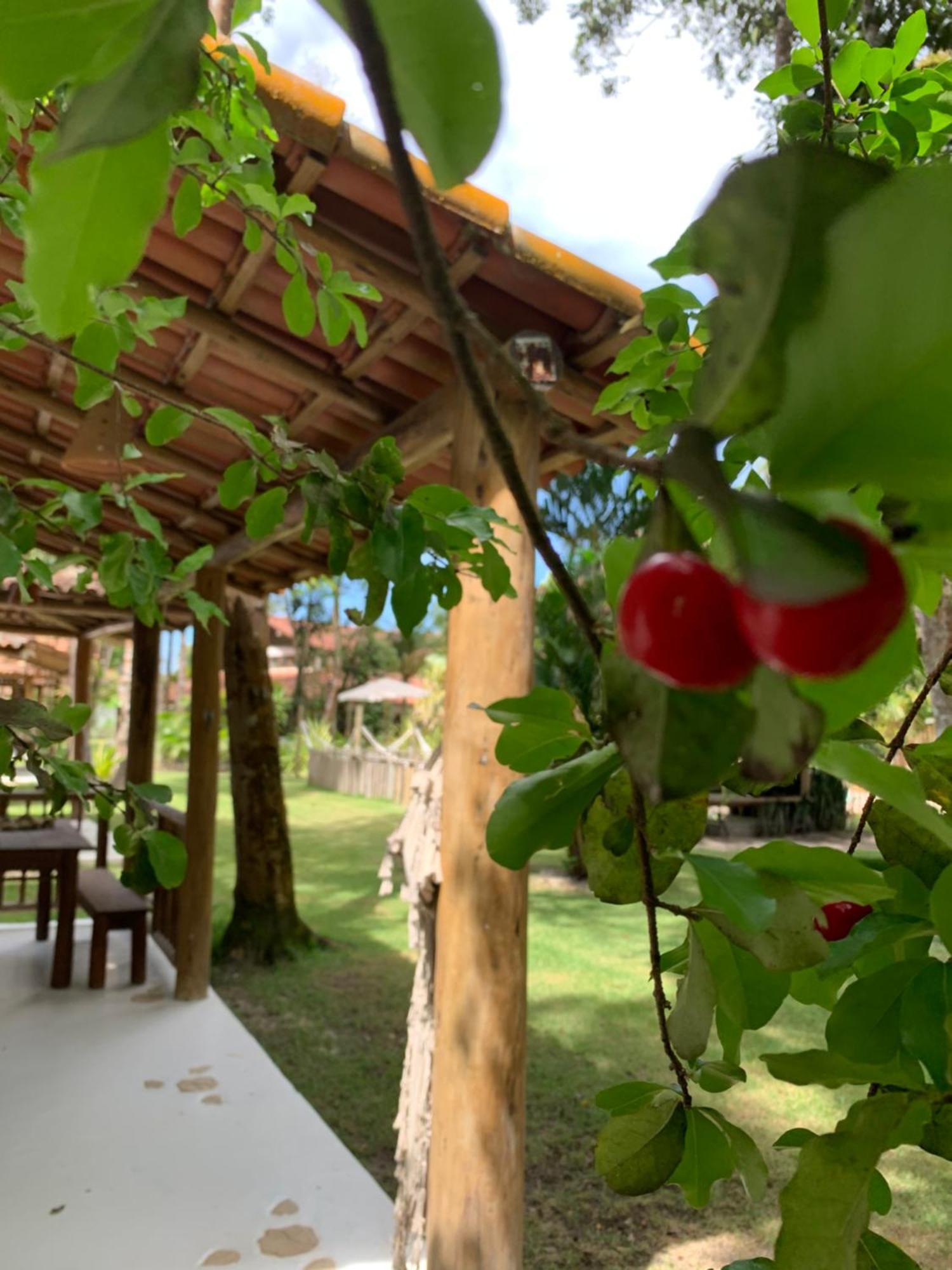 Bed and breakfast Cheiro Nativo - Chalés&pousada 2*