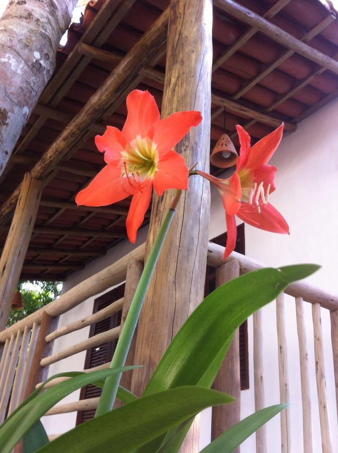 Cheiro Nativo - Chalés&pousada Bed and breakfast Trancoso